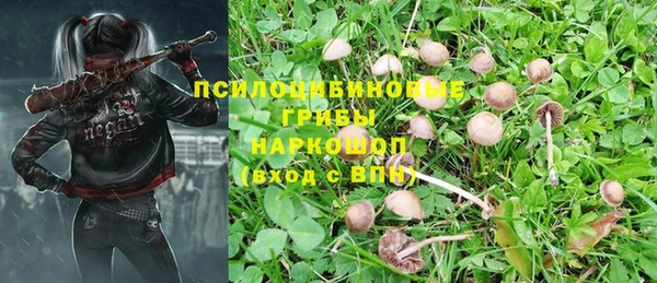 PSILOCYBIN Беломорск